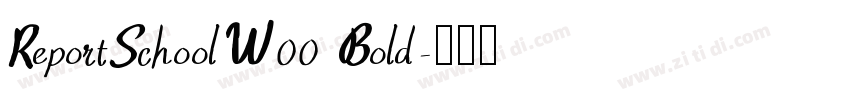 ReportSchoolW00 Bold字体转换